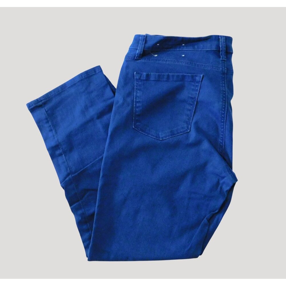 Ann Taylor Loft Jeans 32/14 Blue Denim Modern Fit Straight 5 Pocket Cotton